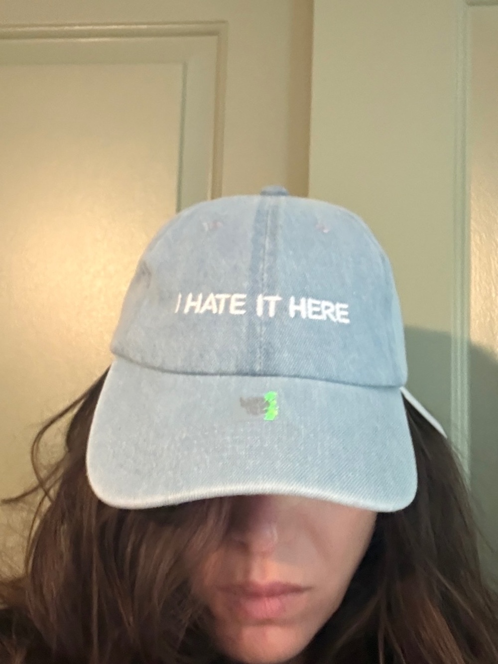 NWT - Intentionally Blank “I Hate It Here” Denim Dad Hat Cap Rare Colorway